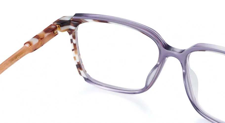 Etnia Barcelona SUSSEX Eyeglasses - view 60